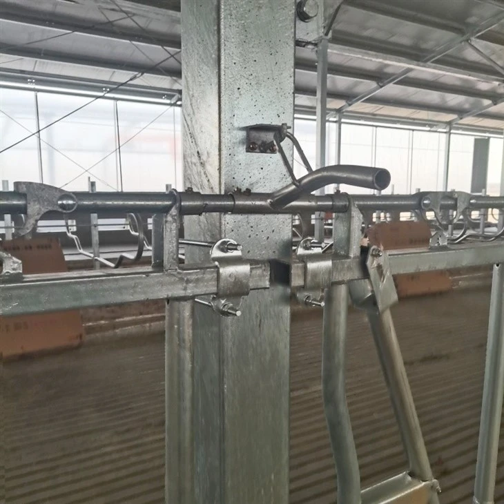 Neck Clip Lock1